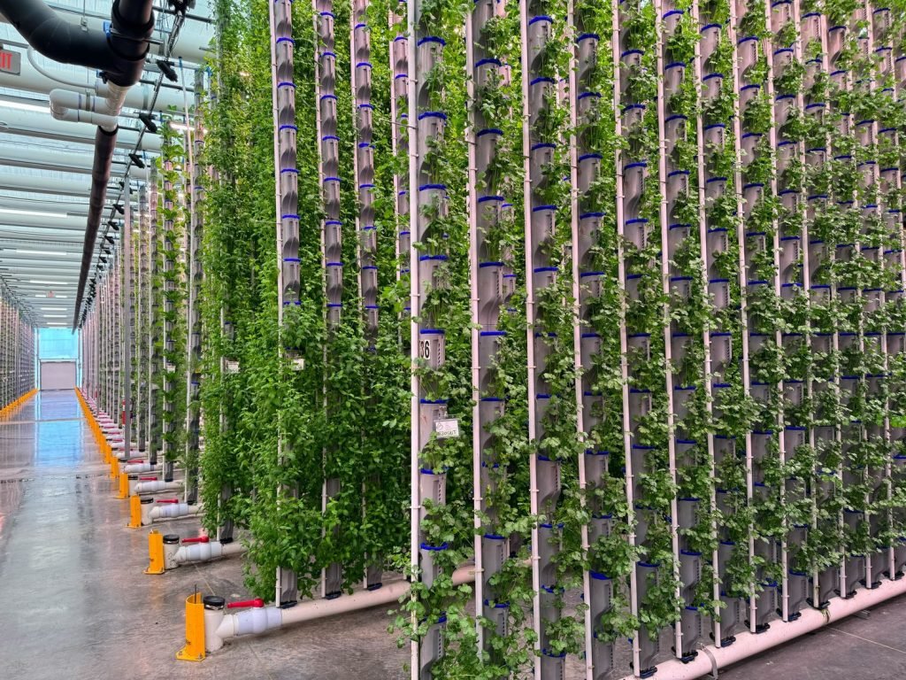 Agricultura Vertical