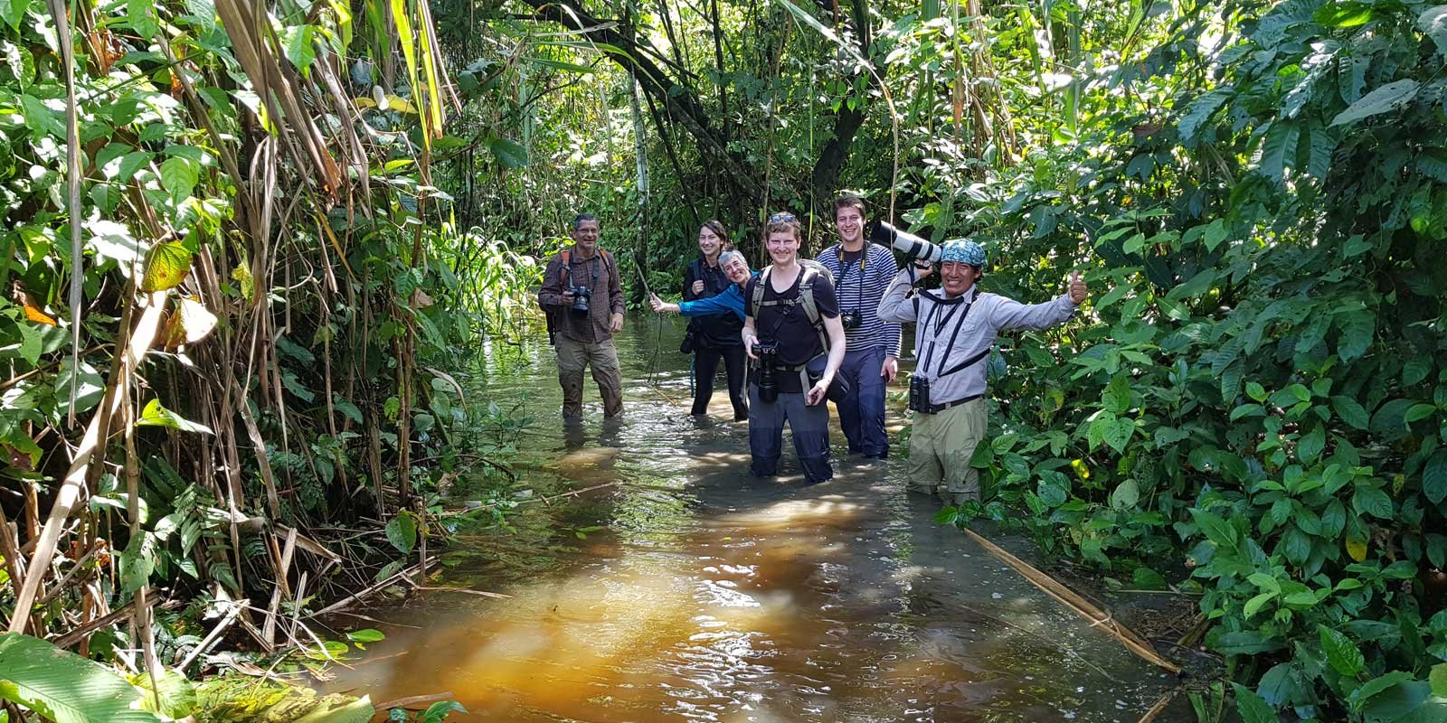 Tour por la jungla